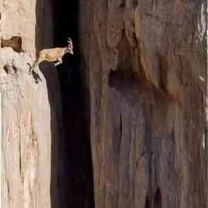 Meet your Posher, Mathieu